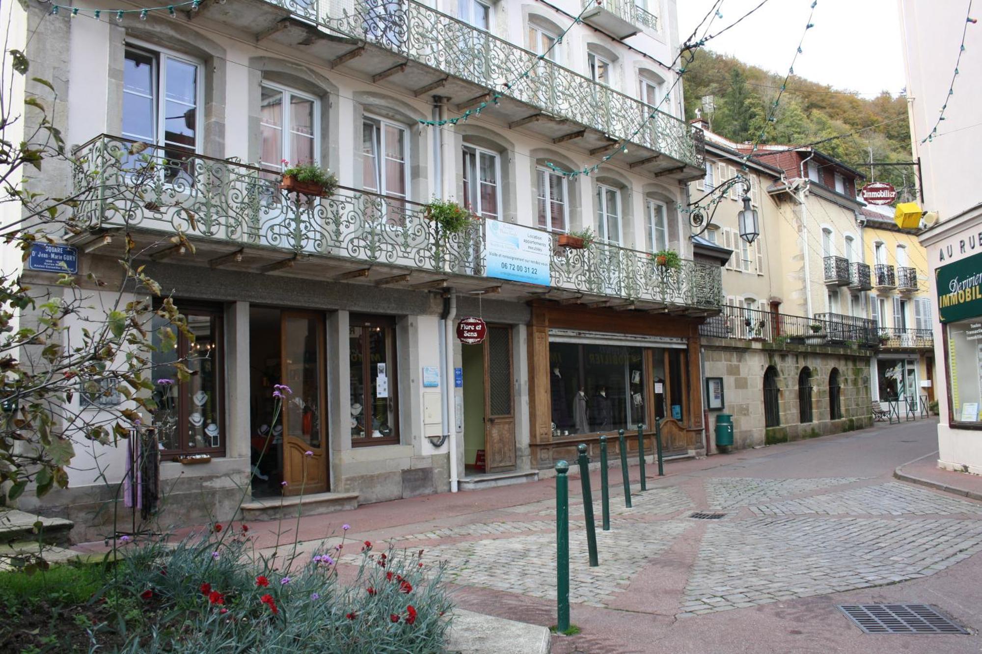 Residence Maison Blanche Plombieres-les-Bains Exterior photo